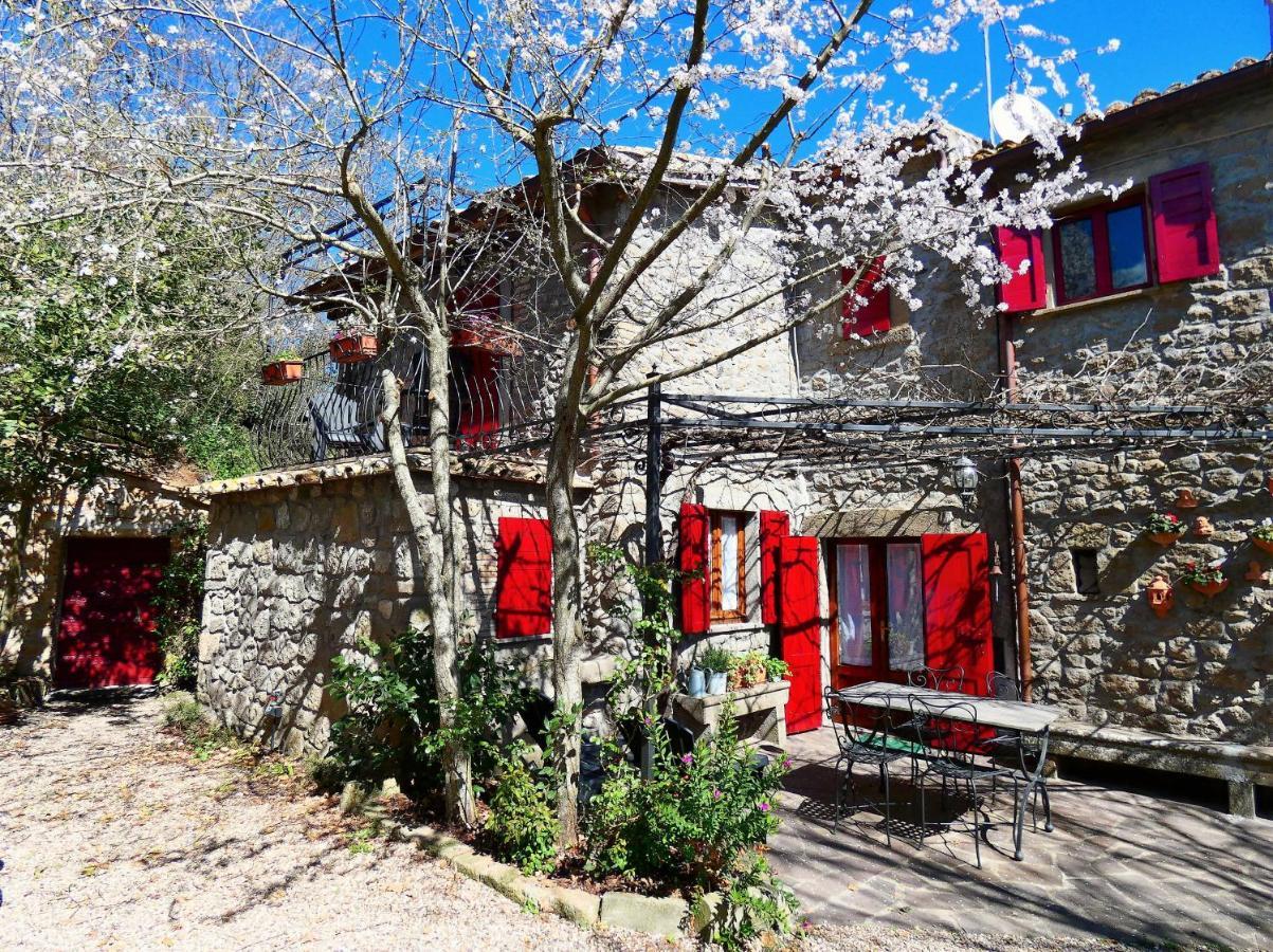 La Baronessa Country House Montefiascone Luaran gambar